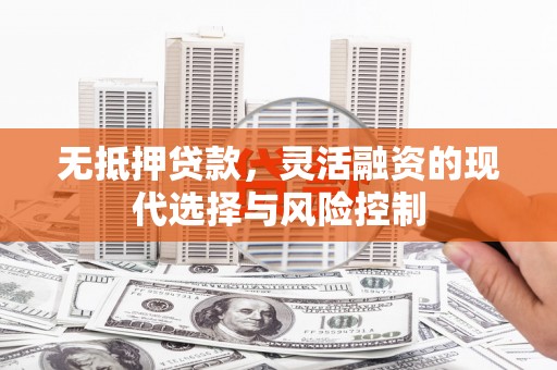 馆陶无抵押贷款，灵活融资的现代选择与风险控制