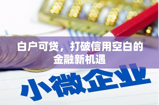 馆陶白户可贷，打破信用空白的金融新机遇