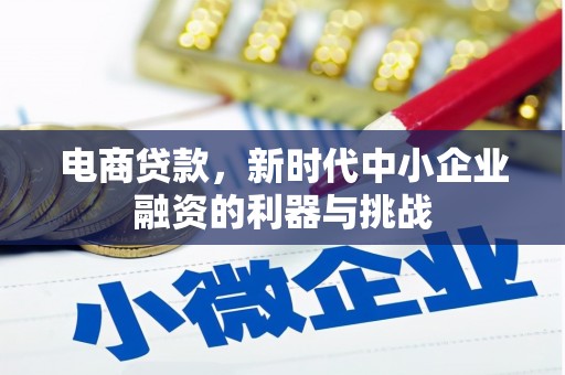 馆陶电商贷款，新时代中小企业融资的利器与挑战
