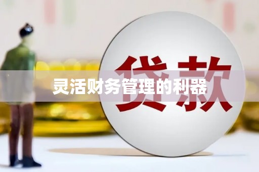 馆陶灵活财务管理的利器