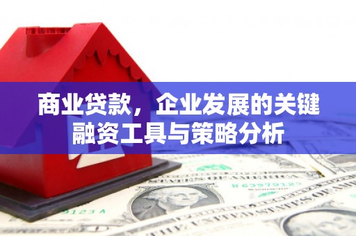 馆陶商业贷款，企业发展的关键融资工具与策略分析