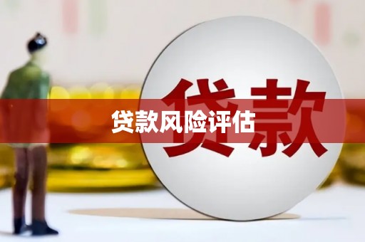 馆陶贷款风险评估