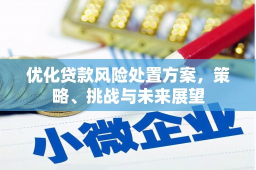 馆陶优化贷款风险处置方案，策略、挑战与未来展望