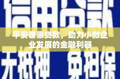 馆陶平安普惠贷款，助力小微企业发展的金融利器