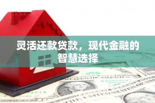 馆陶灵活还款贷款，现代金融的智慧选择