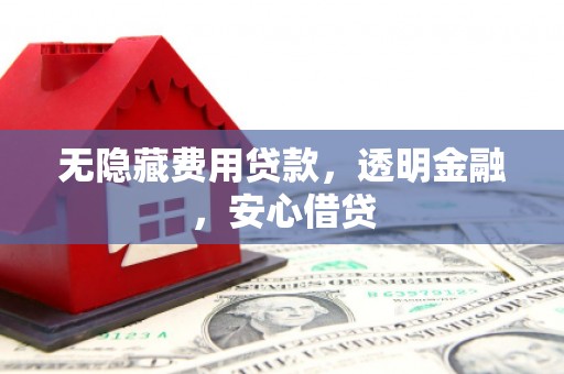 馆陶无隐藏费用贷款，透明金融，安心借贷
