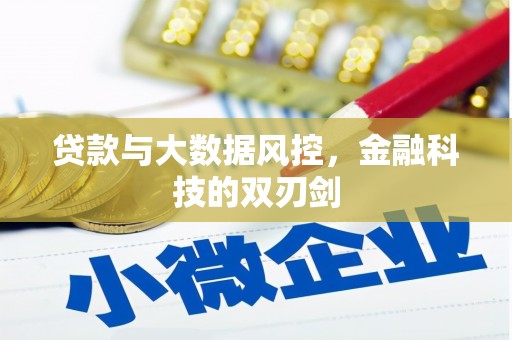 馆陶贷款与大数据风控，金融科技的双刃剑