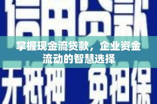 馆陶掌握现金流贷款，企业资金流动的智慧选择