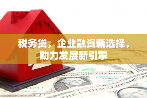 馆陶税务贷，企业融资新选择，助力发展新引擎