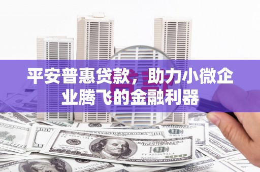馆陶平安普惠贷款，助力小微企业腾飞的金融利器