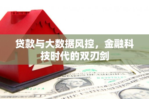 馆陶贷款与大数据风控，金融科技时代的双刃剑