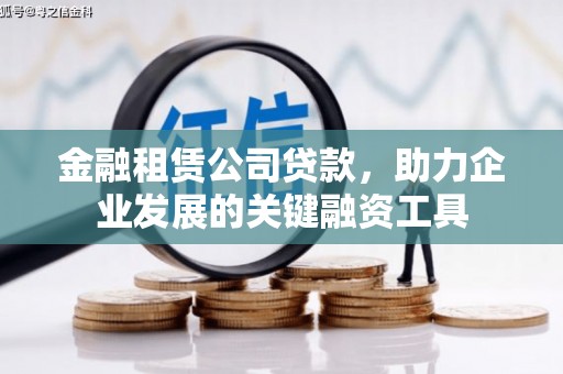 馆陶金融租赁公司贷款，助力企业发展的关键融资工具