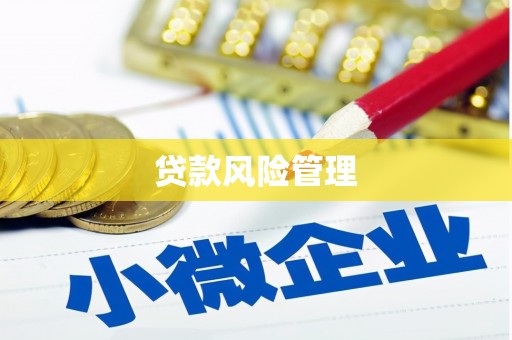 馆陶贷款风险管理