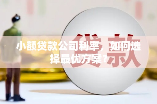 馆陶小额贷款公司利率，如何选择最优方案？