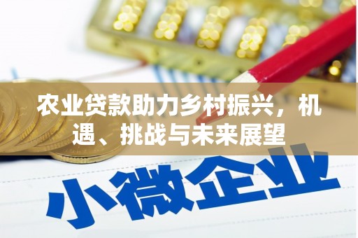 馆陶农业贷款助力乡村振兴，机遇、挑战与未来展望