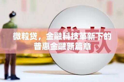 馆陶微粒贷，金融科技革新下的普惠金融新篇章