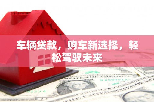 馆陶车辆贷款，购车新选择，轻松驾驭未来
