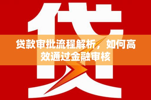 馆陶贷款审批流程解析，如何高效通过金融审核