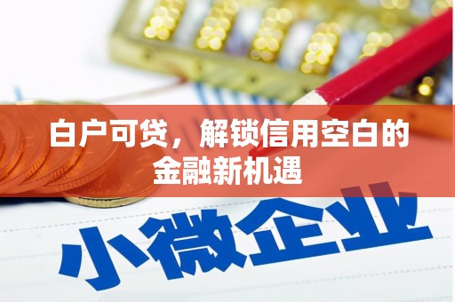 馆陶白户可贷，解锁信用空白的金融新机遇