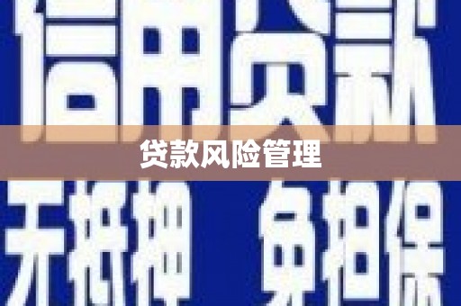 馆陶贷款风险管理