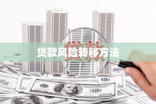 馆陶贷款风险转移方法