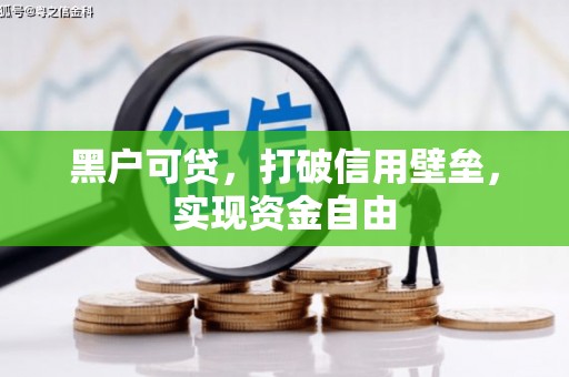 馆陶黑户可贷，打破信用壁垒，实现资金自由