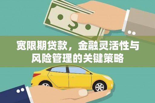 馆陶宽限期贷款，金融灵活性与风险管理的关键策略