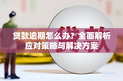 馆陶贷款逾期怎么办？全面解析应对策略与解决方案