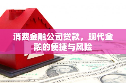 馆陶消费金融公司贷款，现代金融的便捷与风险