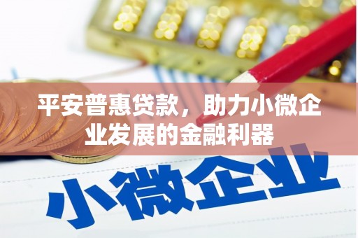 馆陶平安普惠贷款，助力小微企业发展的金融利器