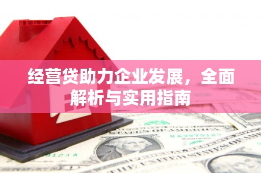 馆陶经营贷助力企业发展，全面解析与实用指南