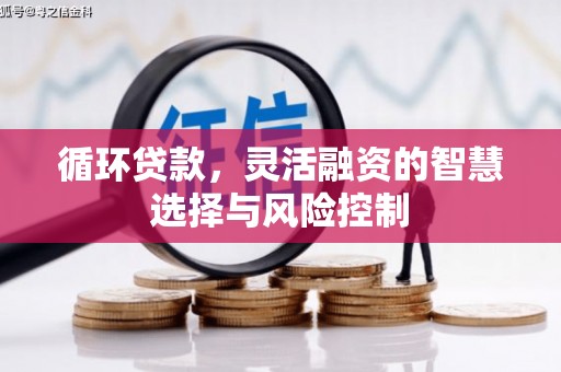 馆陶循环贷款，灵活融资的智慧选择与风险控制