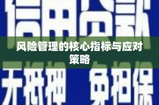馆陶风险管理的核心指标与应对策略