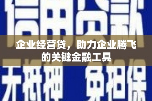 馆陶企业经营贷，助力企业腾飞的关键金融工具