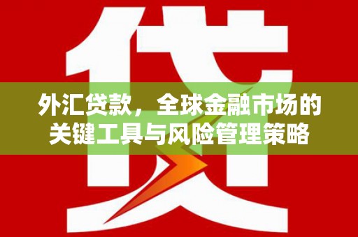馆陶外汇贷款，全球金融市场的关键工具与风险管理策略
