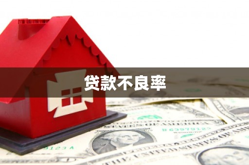 馆陶贷款不良率