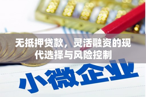 馆陶无抵押贷款，灵活融资的现代选择与风险控制