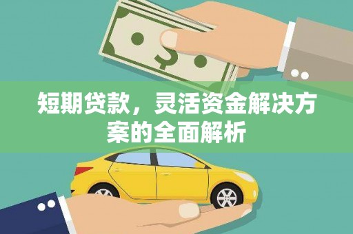 馆陶短期贷款，灵活资金解决方案的全面解析