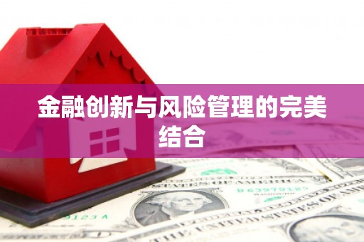 馆陶金融创新与风险管理的完美结合