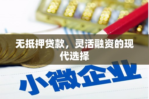 馆陶无抵押贷款，灵活融资的现代选择