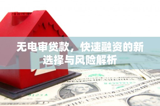 馆陶无电审贷款，快速融资的新选择与风险解析