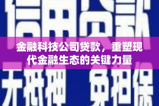 馆陶金融科技公司贷款，重塑现代金融生态的关键力量