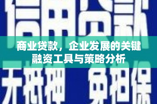 馆陶商业贷款，企业发展的关键融资工具与策略分析
