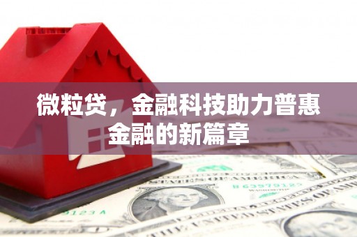 馆陶微粒贷，金融科技助力普惠金融的新篇章