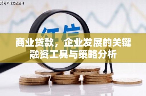 馆陶商业贷款，企业发展的关键融资工具与策略分析