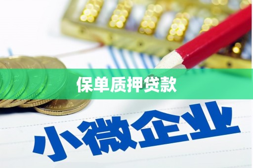 馆陶保单质押贷款