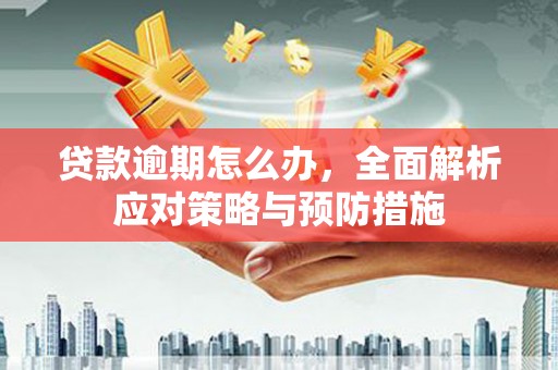 馆陶贷款逾期怎么办，全面解析应对策略与预防措施