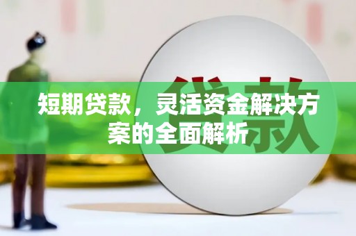 馆陶短期贷款，灵活资金解决方案的全面解析