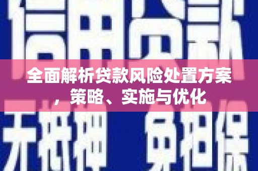 馆陶全面解析贷款风险处置方案，策略、实施与优化