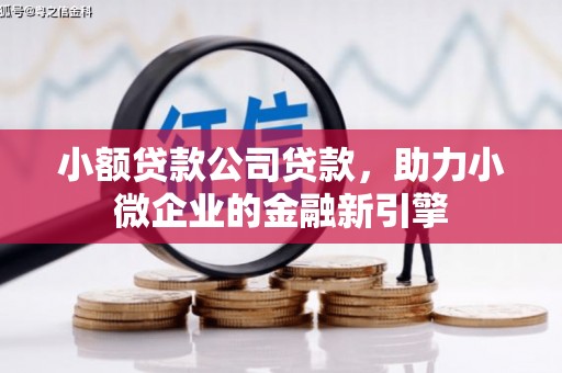 馆陶小额贷款公司贷款，助力小微企业的金融新引擎